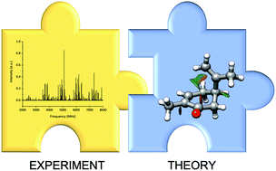 Graphical abstract: The axial/equatorial conformational landscape and intramolecular dispersion: new insights from the rotational spectra of monoterpenoids