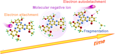 Graphical abstract: A unified statistical RRKM approach to the fragmentation and autoneutralization of metastable molecular negative ions of hexaazatrinaphthylenes