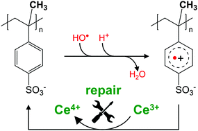 Graphical abstract: Attack of hydroxyl radicals to α-methyl-styrene sulfonate polymers and cerium-mediated repair via radical cations