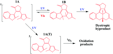 Graphical abstract: Mechanism of photochromic transformations and photodegradation of an asymmetrical 2,3-diarylcyclopentenone