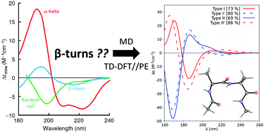 Graphical abstract: Characterization of β-turns by electronic circular dichroism spectroscopy: a coupled molecular dynamics and time-dependent density functional theory computational study