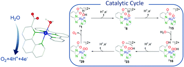 Graphical abstract: Ruthenium-based catalysts for water oxidation: the key role of carboxyl groups as proton acceptors