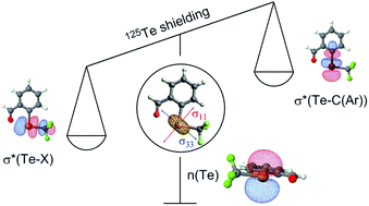 Graphical abstract: Understanding 125Te NMR chemical shifts in disymmetric organo-telluride compounds from natural chemical shift analysis