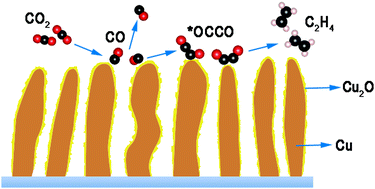 Graphical abstract: New aspects of C2 selectivity in electrochemical CO2 reduction over oxide-derived copper