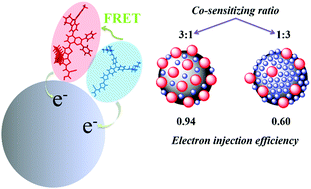 Graphical abstract: Understanding the effects of the co-sensitizing ratio on the surface potential, electron injection efficiency, and Förster resonance energy transfer