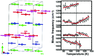 Graphical abstract: Phonon and magnetoelastic coupling in Al0.5Ga0.5FeO3: Raman, magnetization and neutron diffraction studies