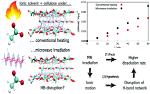 Graphical abstract: Kinetic analysis of microwave-enhanced cellulose dissolution in ionic solvents