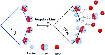 Graphical abstract: An in situ exchange mechanism for dye molecules and cations at the nano-semiconductor film/electrolyte interface