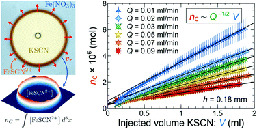 Graphical abstract: Effects of radial injection and solution thickness on the dynamics of confined A + B → C chemical fronts