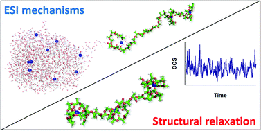 Graphical abstract: Effects of electrospray mechanisms and structural relaxation on polylactide ion conformations in the gas phase: insights from ion mobility spectrometry and molecular dynamics simulations