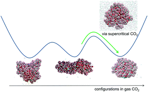 Graphical abstract: Computer simulation study of fluorocarbon phosphate surfactant based aqueous reverse micelle in supercritical CO2: roles of surfactant functional groups, ionic strength, and phase changes in CO2