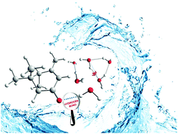 Graphical abstract: Microhydration of verbenone: how the chain of water molecules adapts its structure to the host molecule