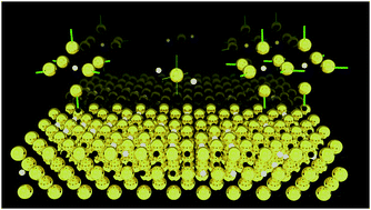 Graphical abstract: Thermodynamical stability of substoichiometric plutonium monocarbide from first-principles calculations