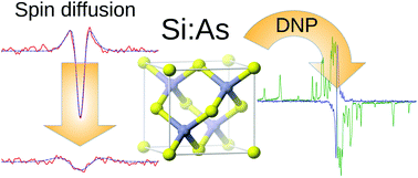 Graphical abstract: Dynamic nuclear polarization and ESR hole burning in As doped silicon