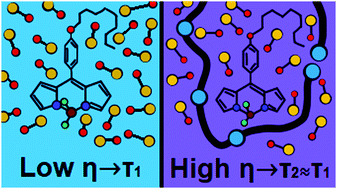 Graphical abstract: The effect of solvent polarity and macromolecular crowding on the viscosity sensitivity of a molecular rotor BODIPY-C10