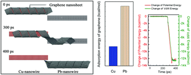 Graphical abstract: What ultimately drives the wrapping, deprivation, and transfer of graphene nanosheets