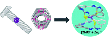 Graphical abstract: Selective host–guest chemistry, self-assembly and conformational preferences of m-xylene macrocycles probed by ion-mobility spectrometry mass spectrometry