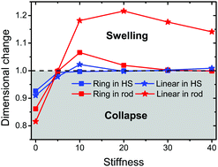 Graphical abstract: A comparative study of semi-flexible linear and ring polymer conformational change in an anisotropic environment