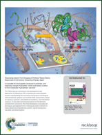 Graphical abstract: Inside back cover