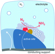 Graphical abstract: How to explore ambient electrocatalytic nitrogen reduction reliably and insightfully