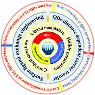 Graphical abstract: Photoexcited carrier dynamics in colloidal quantum dot solar cells: insights into individual quantum dots, quantum dot solid films and devices