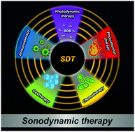 Graphical abstract: Multifunctional sonosensitizers in sonodynamic cancer therapy