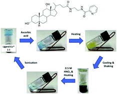 Graphical abstract: Steroidal supramolecular metallogels