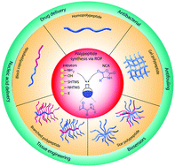 Graphical abstract: Ring opening polymerization of α-amino acids: advances in synthesis, architecture and applications of polypeptides and their hybrids