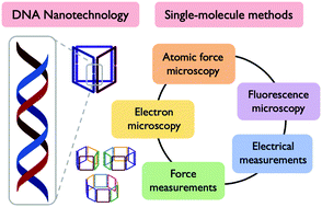 Graphical abstract: Single-molecule methods in structural DNA nanotechnology