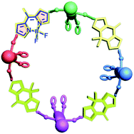 Graphical abstract: BODIPY-based macrocycles