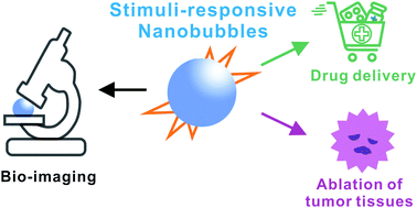 Graphical abstract: Stimuli-responsive nanobubbles for biomedical applications