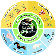 Graphical abstract: Mussel-inspired hydrogels: from design principles to promising applications
