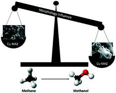 Graphical abstract: The influence of zeolite morphology on the conversion of methane to methanol on copper-exchanged omega zeolite (MAZ)