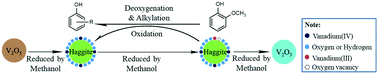 Graphical abstract: Deoxyalkylation of guaiacol using haggite structured V4O6(OH)4