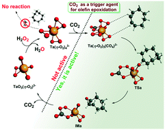 Graphical abstract: A mononuclear tantalum catalyst with a peroxocarbonate ligand for olefin epoxidation in compressed CO2