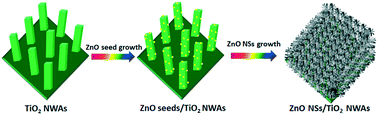 Graphical abstract: Photostable 3D heterojunction photoanode made of ZnO nanosheets coated onto TiO2 nanowire arrays for photoelectrochemical solar hydrogen generation
