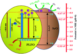 Graphical abstract: Improved visible-light photoactivities of porous LaFeO3 by coupling with nanosized alkaline earth metal oxides and mechanism insight