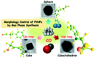 Graphical abstract: Gas-phase synthesis of morphology-controlled Pt nanoparticles and their impact on cinnamaldehyde hydrogenation