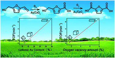 Graphical abstract: Selective oxidation of 5-hydroxymethylfurfural to 2,5-furandicarboxylic acid over Au/CeO2 catalysts: the morphology effect of CeO2