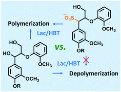 Graphical abstract: The impact of lignin sulfonation on its reactivity with laccase and laccase/HBT