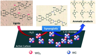 Graphical abstract: Tungsten-based catalysts for lignin depolymerization: the role of tungsten species in C–O bond cleavage