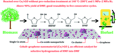 Graphical abstract: Cobalt–graphene nanomaterial as an efficient catalyst for selective hydrogenation of 5-hydroxymethylfurfural into 2,5-dimethylfuran