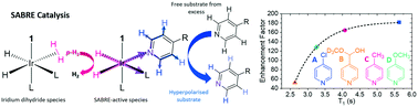 Graphical abstract: Understanding substrate substituent effects to improve catalytic efficiency in the SABRE hyperpolarisation process