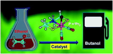 Graphical abstract: Catalytic upgrading of ethanol to n-butanol using an aliphatic Mn–PNP complex: theoretical insights into reaction mechanisms and product selectivity