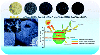 Graphical abstract: Ultrafine Au nanoparticles anchored on Bi2MoO6 with abundant surface oxygen vacancies for efficient oxygen molecule activation