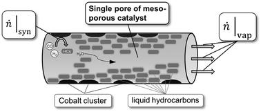 Graphical abstract: Accumulation of liquid hydrocarbons during cobalt-catalyzed Fischer–Tropsch synthesis - influence of activity and chain growth probability