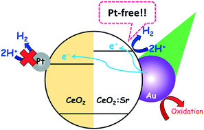 Graphical abstract: Effect of conduction band potential on cocatalyst-free plasmonic H2 evolution over Au loaded on Sr2+-doped CeO2