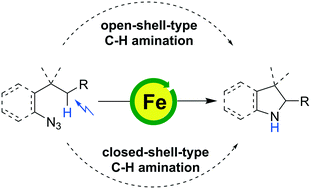 Graphical abstract: Recent advances in Fe-catalyzed C–H aminations using azides as nitrene precursors