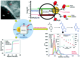 Graphical abstract: Crystal phase induced band gap energy enhancing the photo-catalytic properties of Zn–Fe2O4/Au NPs: experimental and theoretical studies