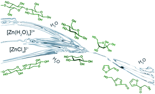 Graphical abstract: The role of the molecular formula of ZnCl2·nH2O on its catalyst activity: a systematic study of zinc chloride hydrates in the catalytic valorisation of cellulosic biomass